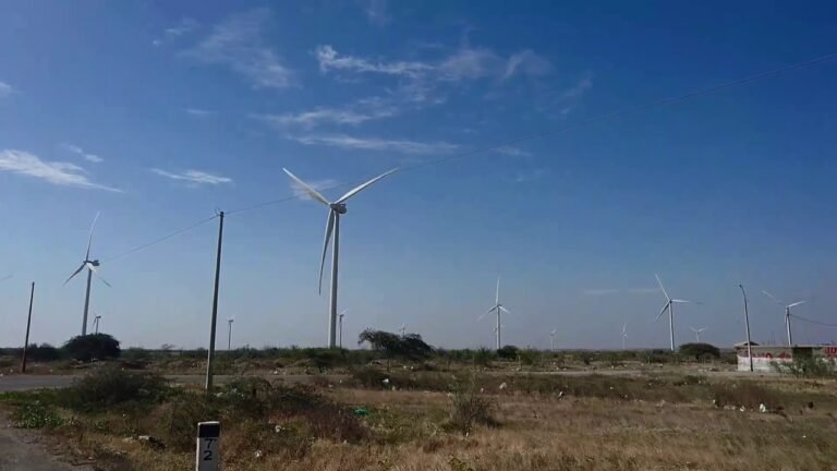 Los molinos